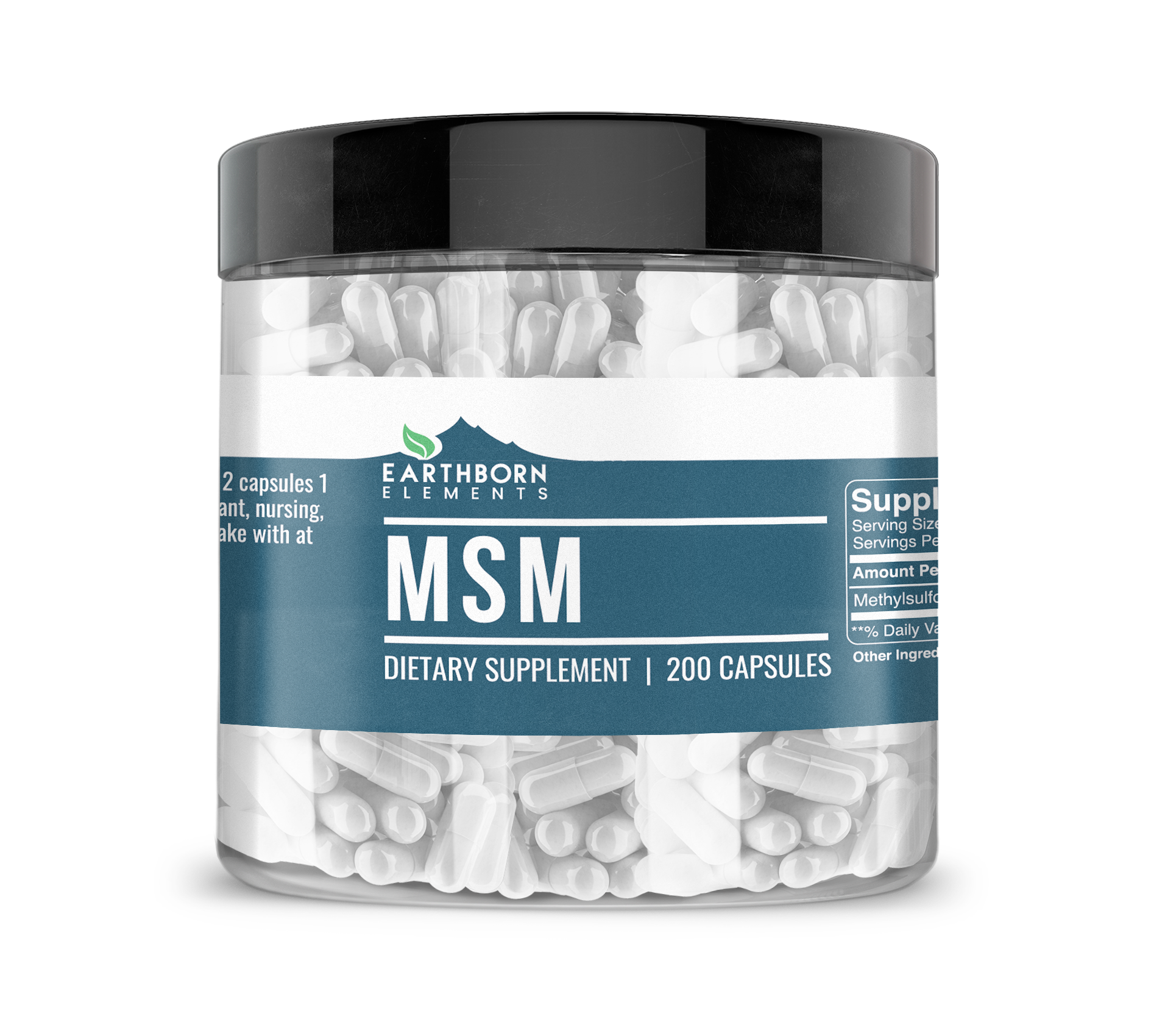 Earthborn Elements, Methylsulfonylmethane (MSM), 200 Capsules